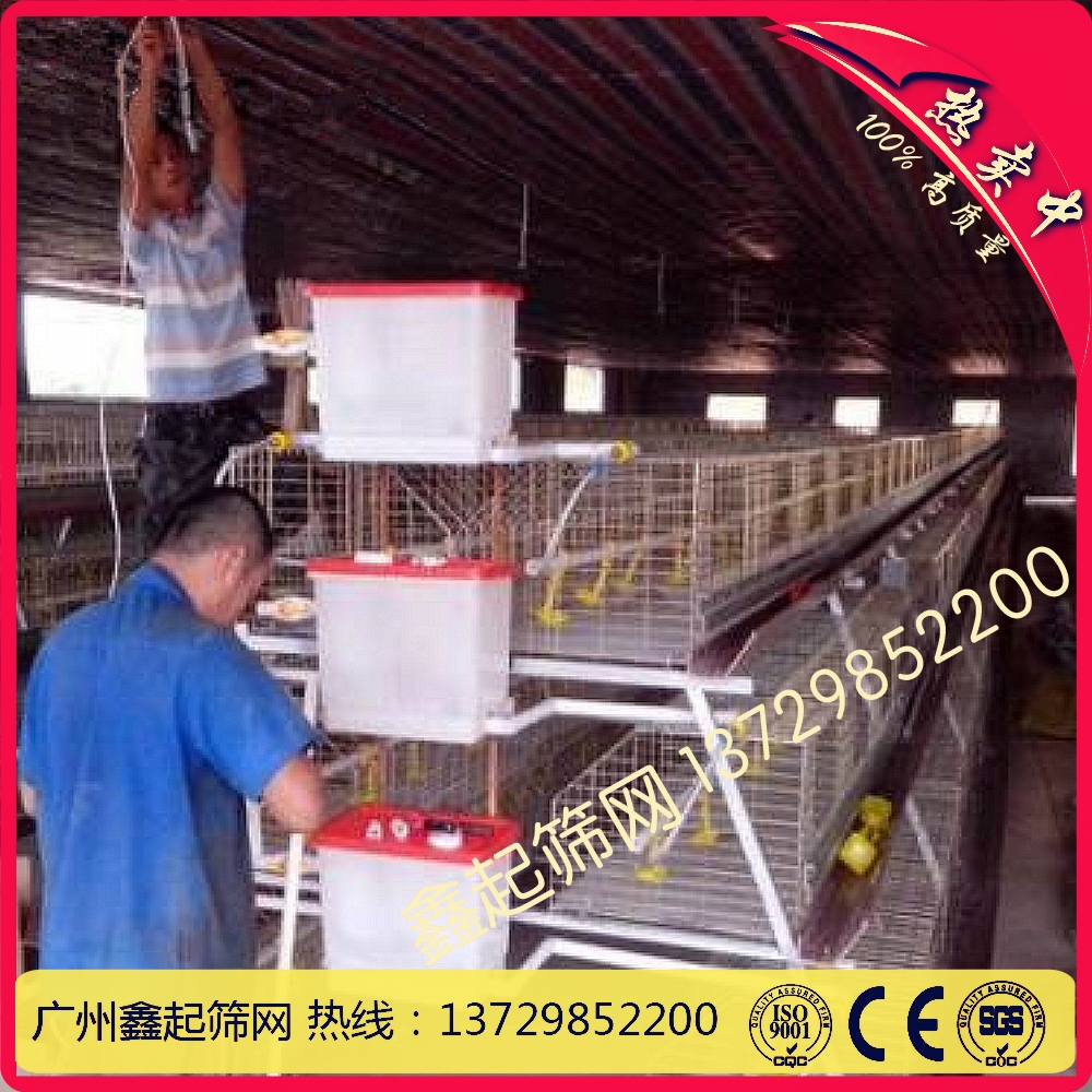 广州鑫起厂家直供产蛋鸡笼镀锌鸡笼图片