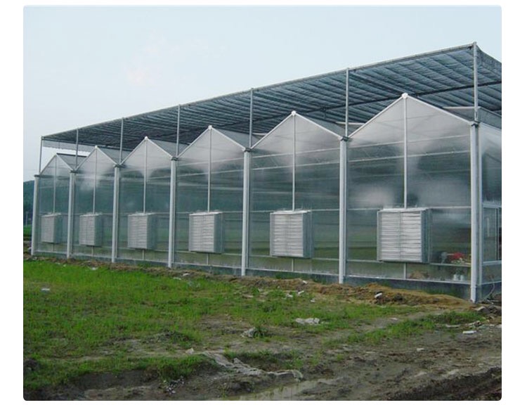 农业温室大棚设计施工