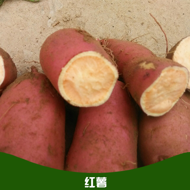 红薯 地瓜 高山红薯 农家新鲜番薯 红心红薯厂家
