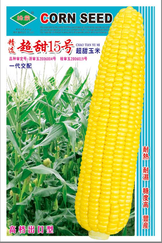 超甜玉米种子 绿美甜888 品质高 水果型 果穗大 高档蔬菜图片