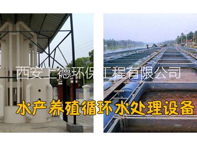 浙江杭州水产养殖循环水设备|循环水养殖设计方案|水产养殖水处理设备