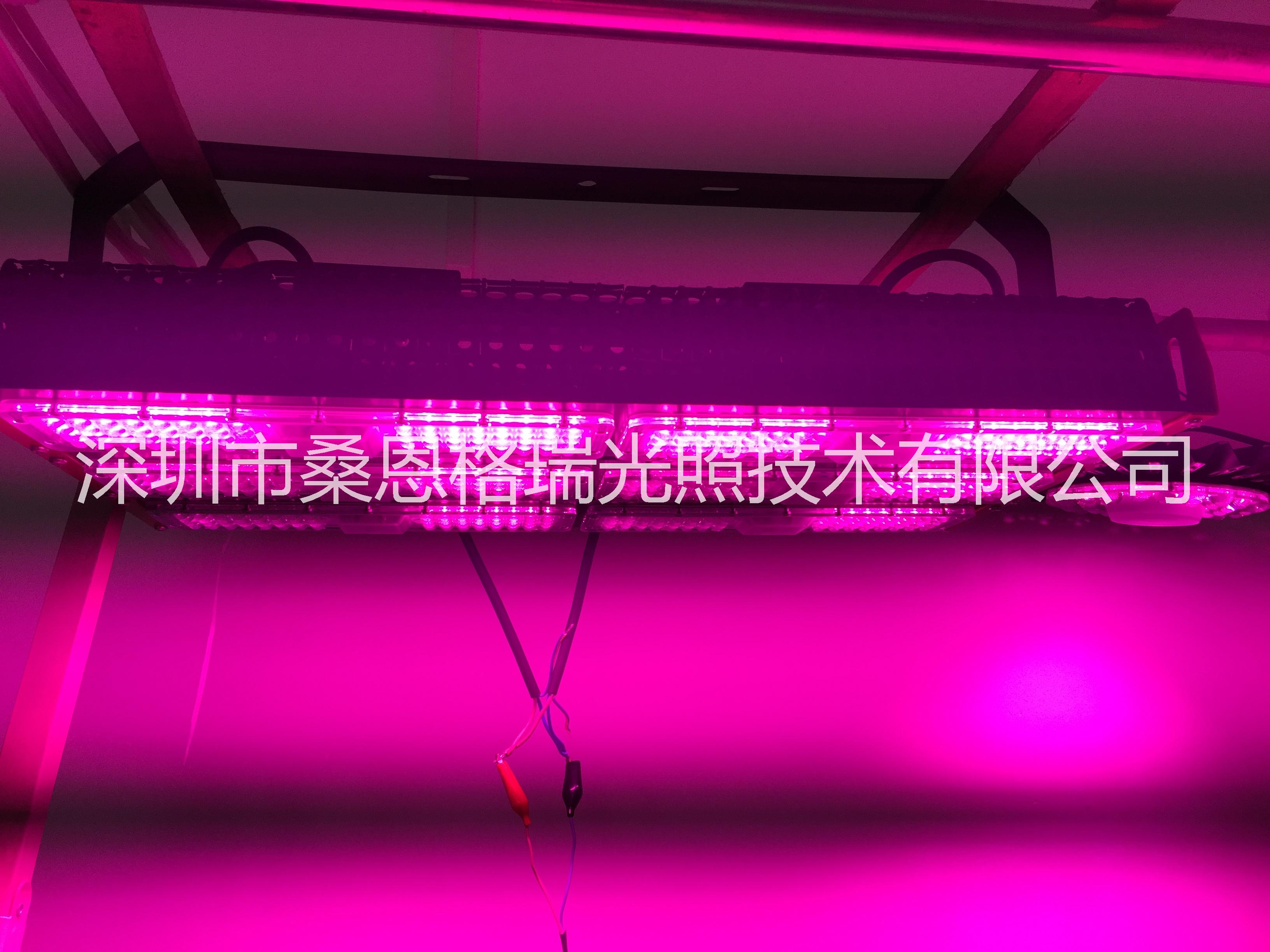 大功率LED大棚蔬菜补光灯 批发大功率LED大棚蔬菜补光灯