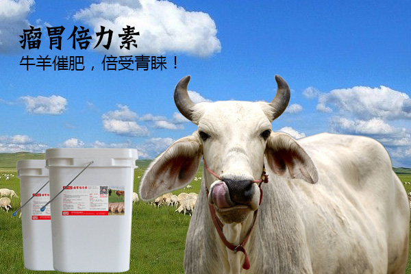 肉牛后期加快增重育肥催肥剂瘤胃素