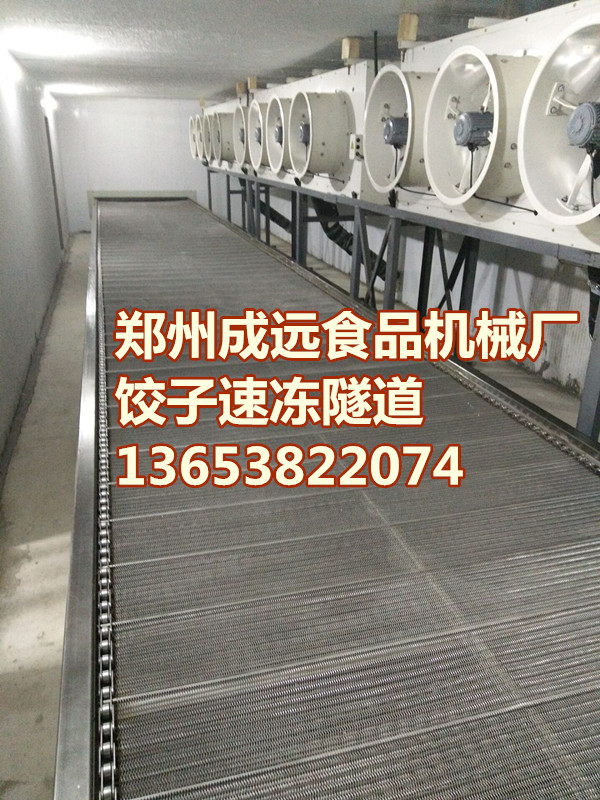 水饺专用速冻隧道流水线设备批发