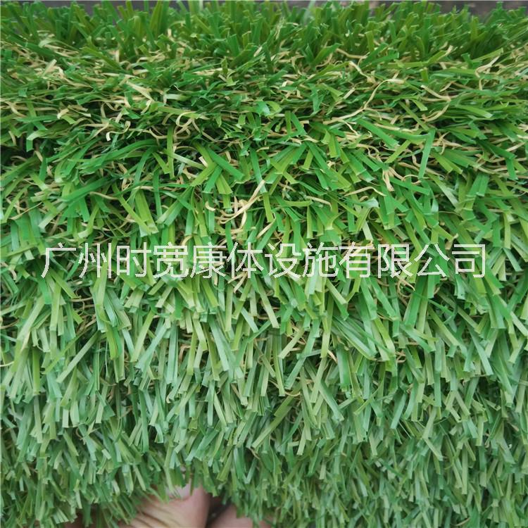 塑料草坪，广州人造草，广东人工草坪，装饰人造草皮