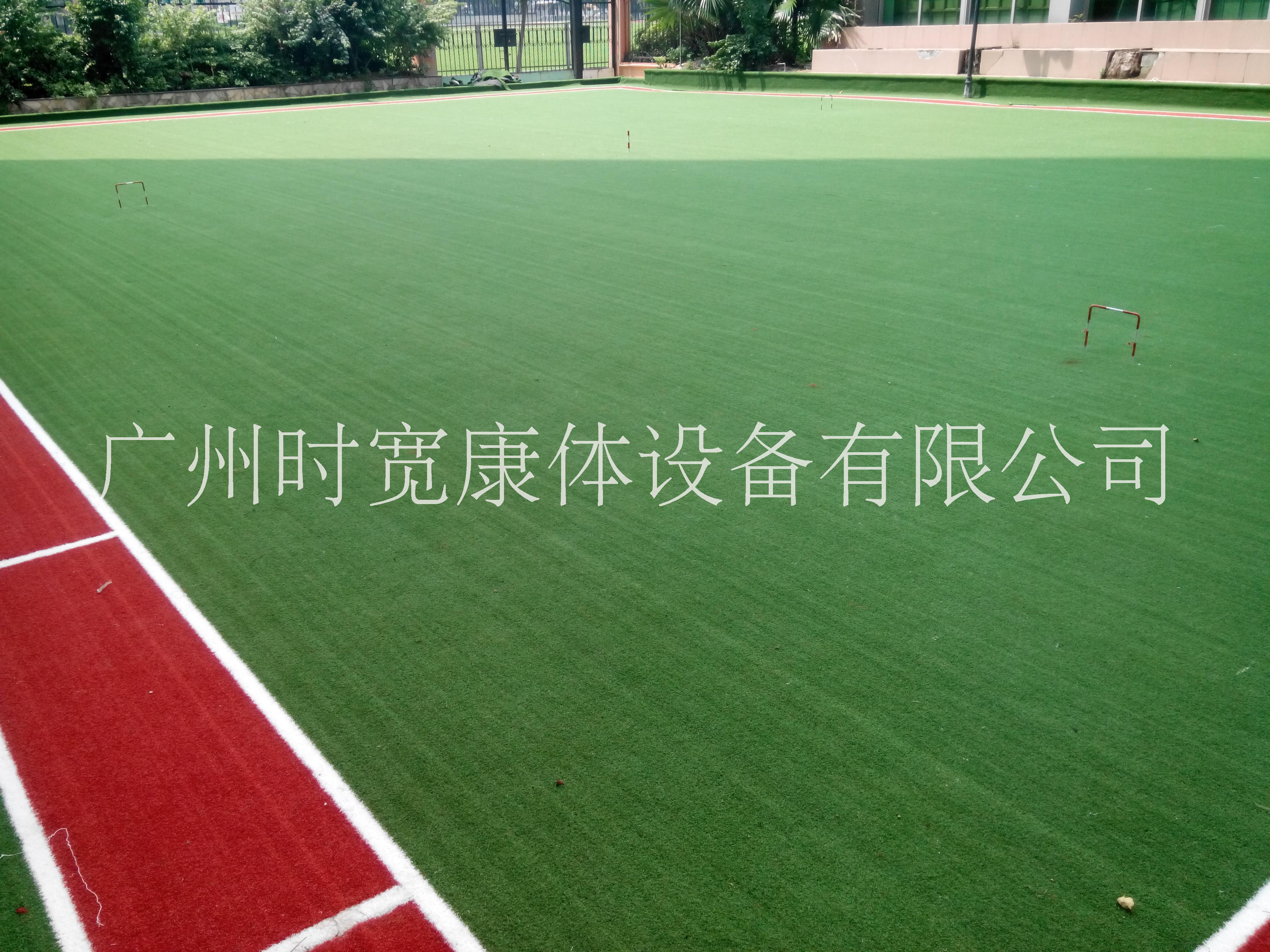 广州厂家直销时宽人造草坪人工草皮仿真草坪塑料草坪高尔夫球场门球场草坪图片