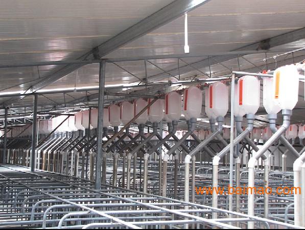 自动喂料设备 养猪料线 优质供料自动喂料设备 养猪料线 优质供料