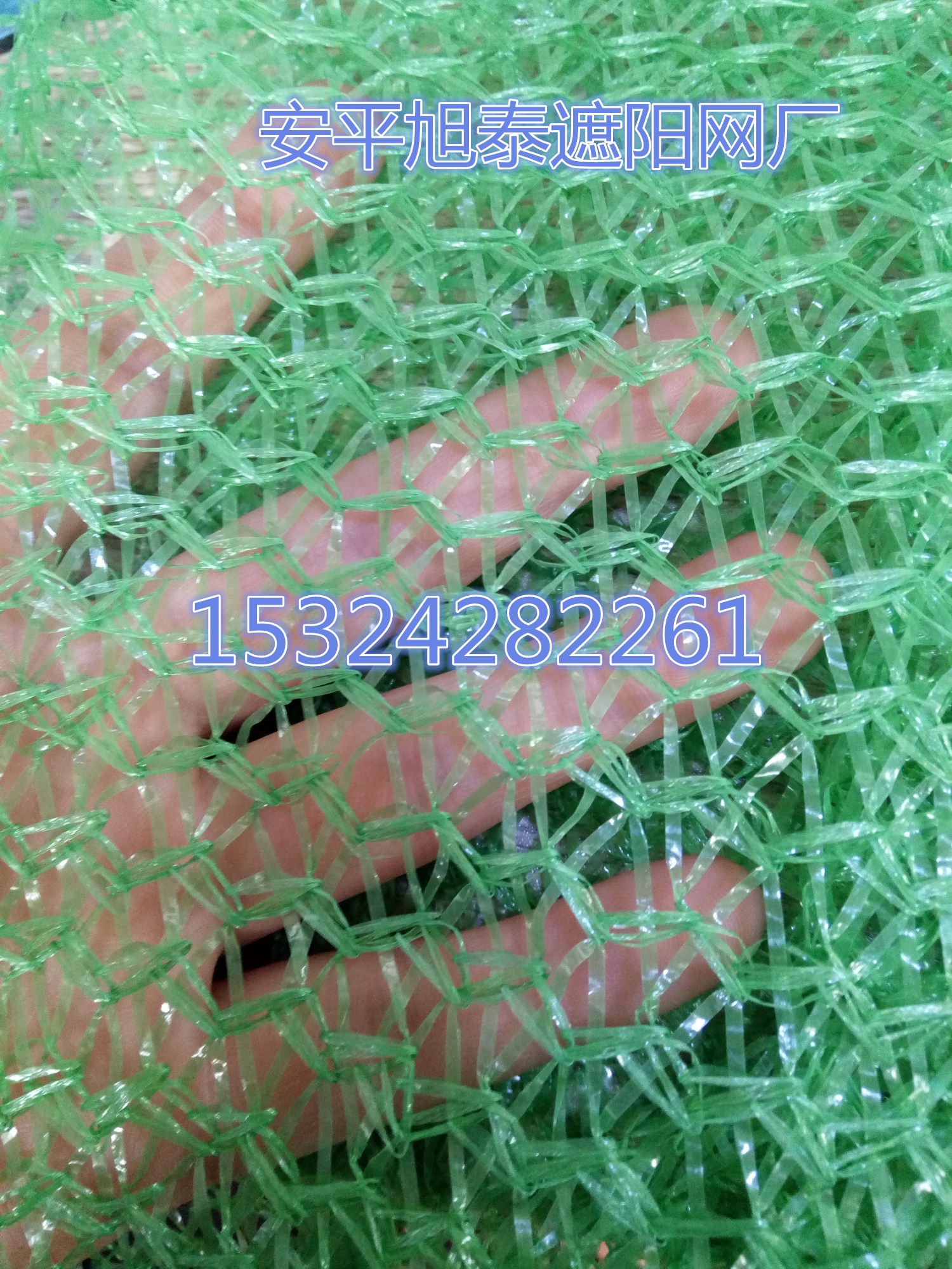 绿色3针加密遮阳网批发
