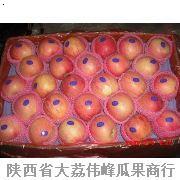 渭南市水晶红富士苹果厂家