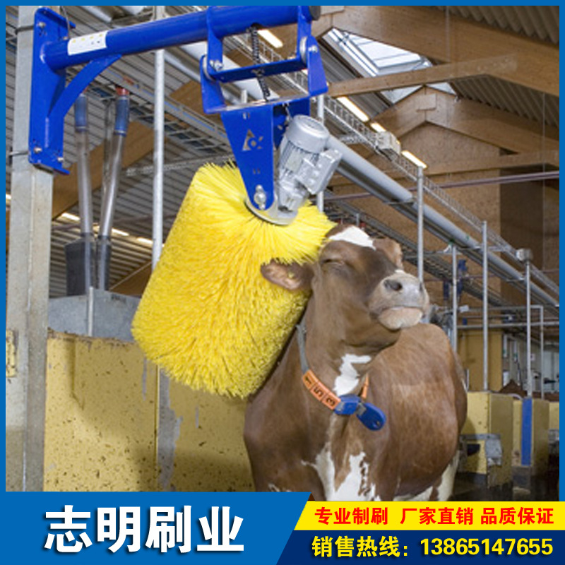 志明厂家 生产多款奶牛清洗刷 牛体按摩蹭痒毛刷 电动牛体刷