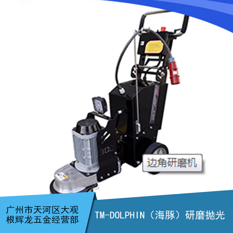 广州市TM-DOLPHIN研磨抛光机厂家TM-DOLPHIN研磨抛光机 安全可靠 质量保证 边角研磨抛光机械去哪里买