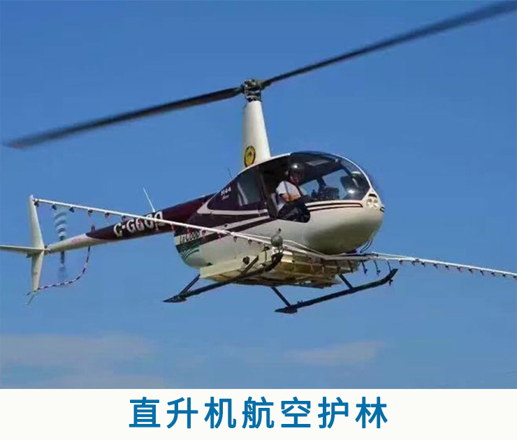 四川直升机出租 四川直升机租赁图片
