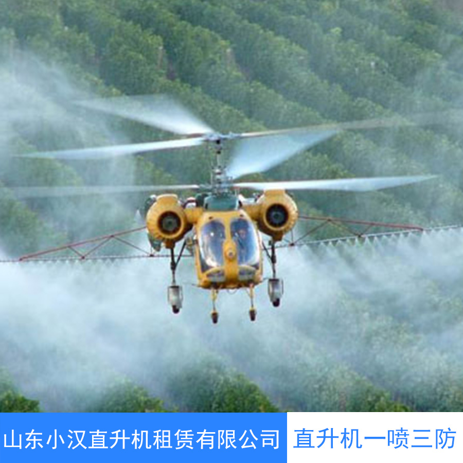 直升机一喷三防直升机航空护林 直升机护林灭火 直升机森林灭火图片