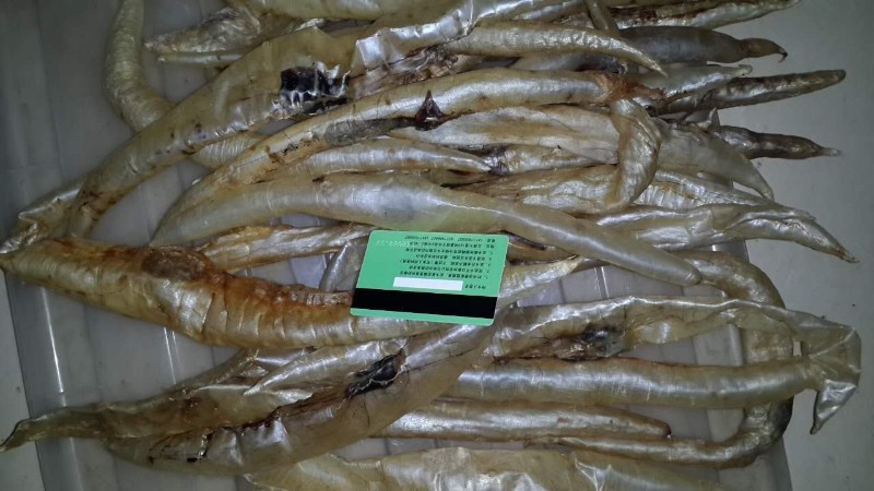 广州海鲜水产品批发市场配送鱿鱼到家；广州黄沙海鲜批发价格；广州海鲜冻品批发
