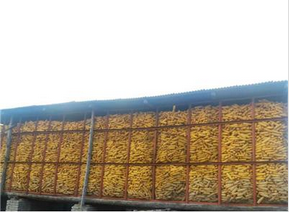 桦甸市玉米加工   优质粮食购销图片