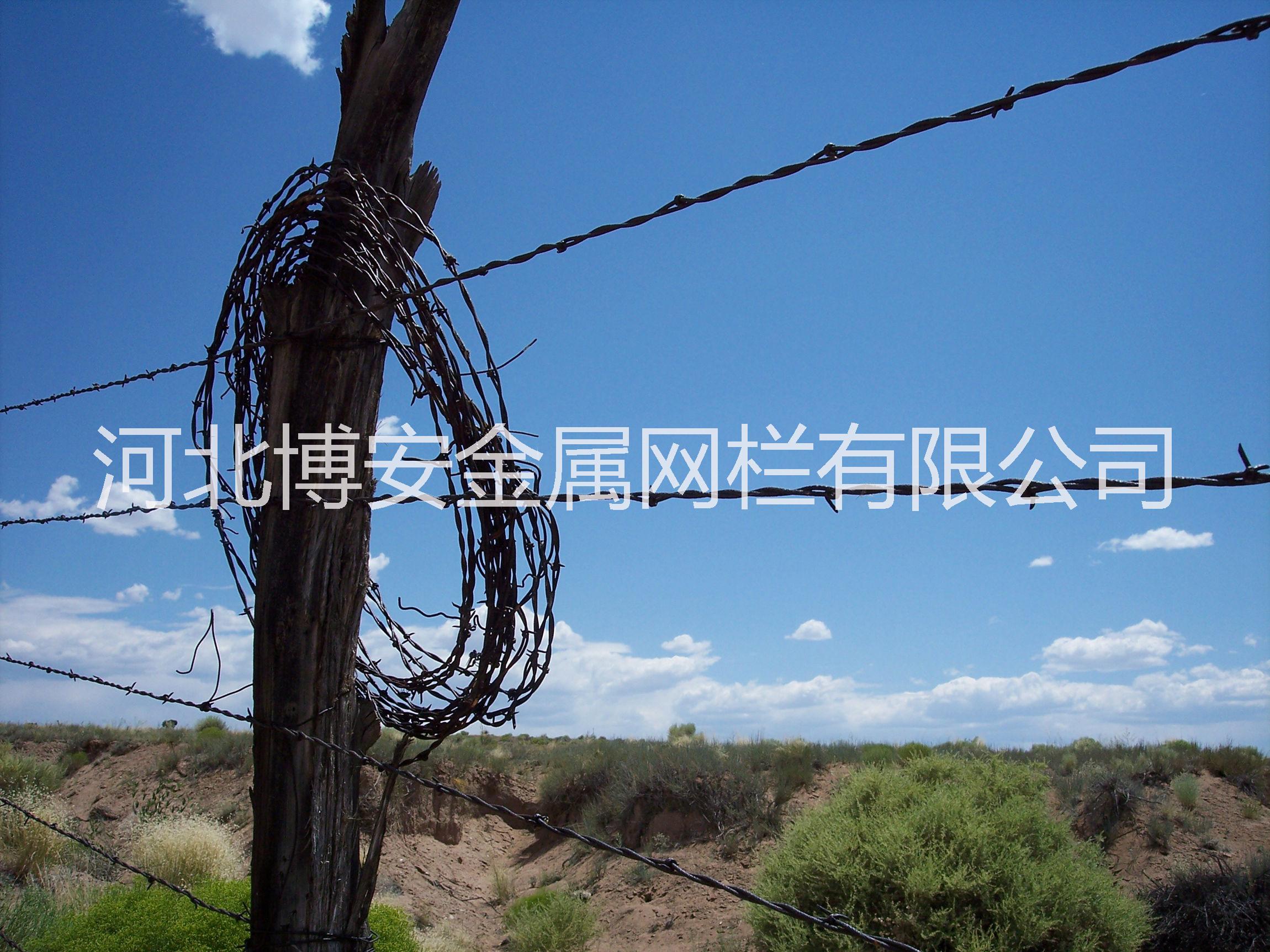 园林用刺绳刺丝由河北博安厂家生产制作图片