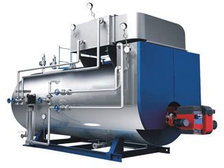 一吨WNS系列热水锅炉卧式蒸汽锅炉A级制造厂家图片