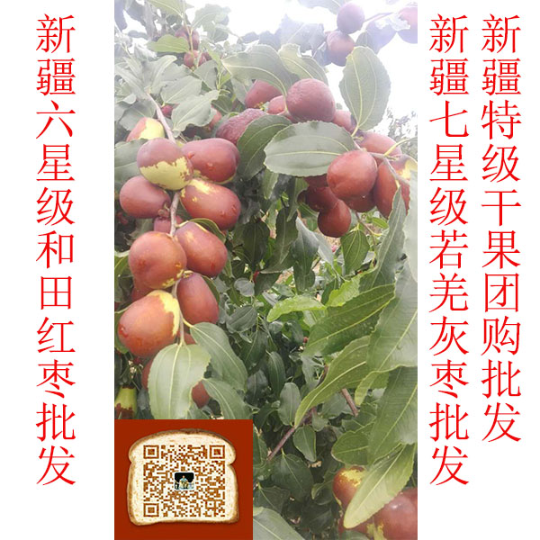 深圳市今年新疆红枣的价格 贵族的享受 平民的价格.深圳