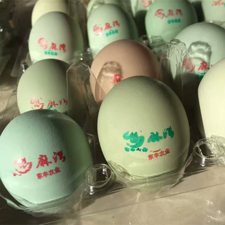 绿壳鸡蛋 农家自产绿壳土鸡蛋 农林散养新鲜草鸡蛋 满90枚包邮