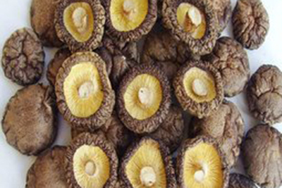 香菇4-5产地大量批发，湖北香菇，河南菇饼，各种型号分类批发