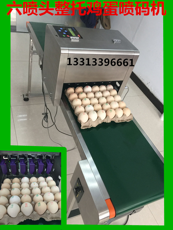 邢台市皮蛋多喷头鸡蛋喷码机生产厂家厂家皮蛋多喷头鸡蛋喷码机生产厂家