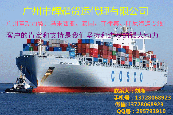 广州到东南亚国际海运双清海运到门批发