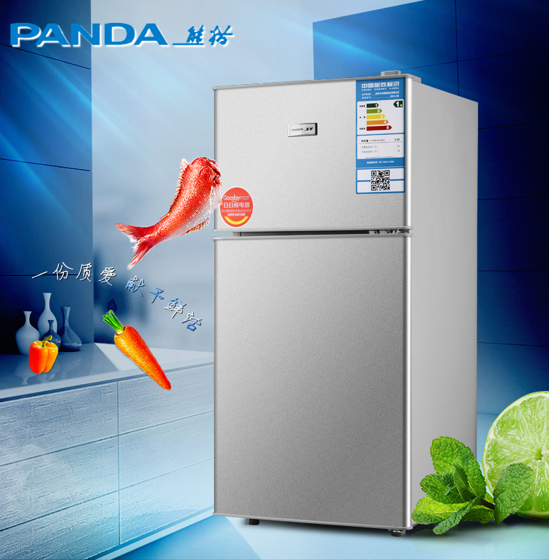 PANDA/熊猫 BCD-102 熊猫牌冰箱  双门冰箱