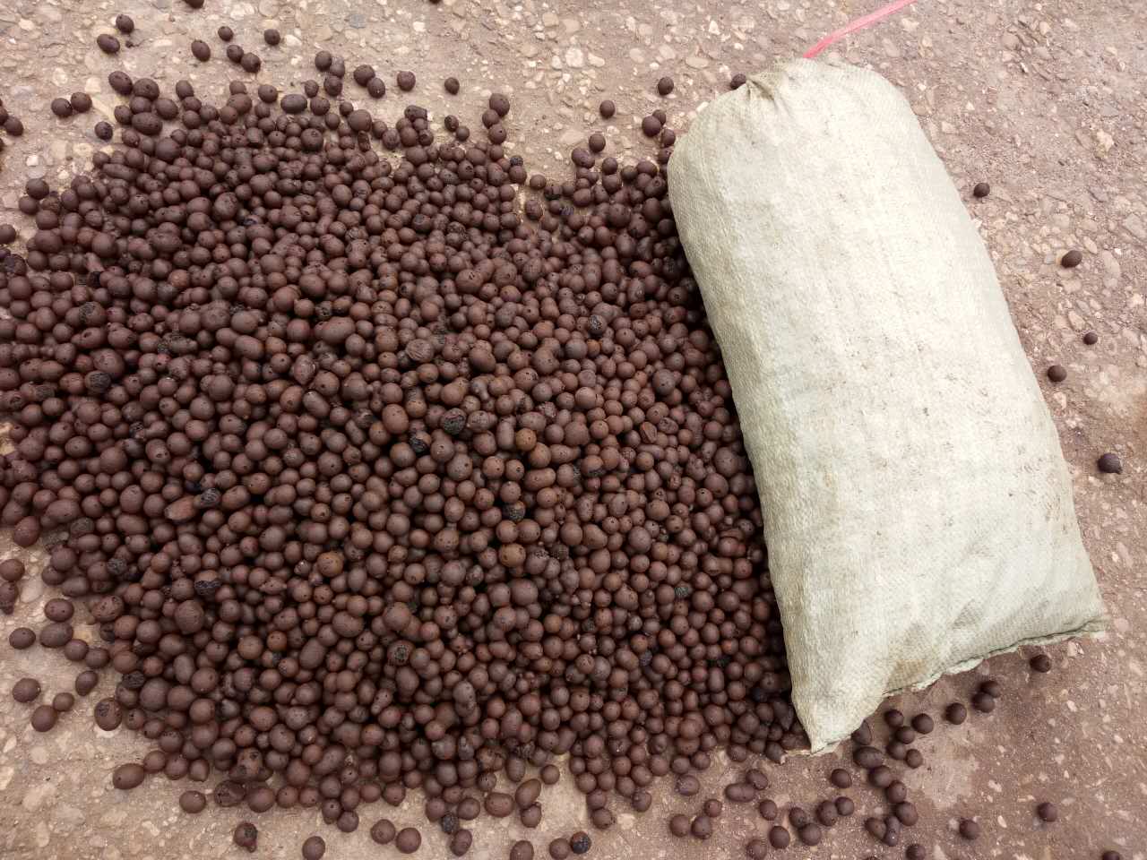 长沙市陶粒厂家直销 园艺用陶粒 卫生间填充用陶粒