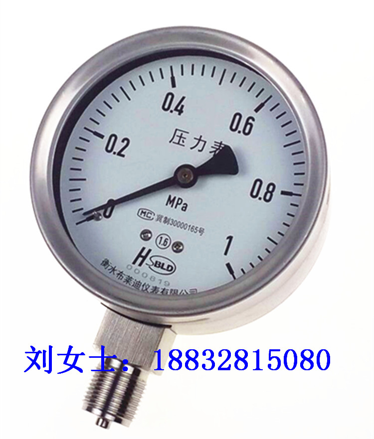 加工定制不锈钢压力表厂销304压力表Y100-B 0-0.6,1,1.6,2.5,4,6, 布莱迪不锈钢压力表