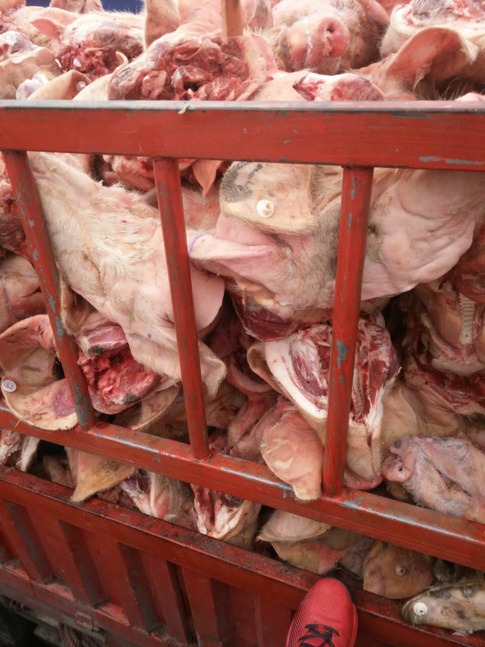 猪头肉 绍兴市猪头肉  猪头肉批发  猪头肉零售  猪头肉包装