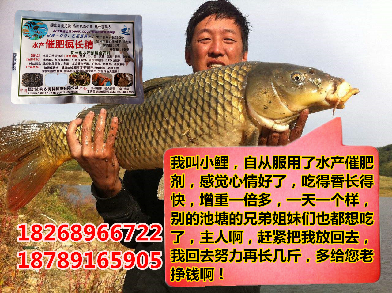 鱼类催肥剂水产催肥剂图片