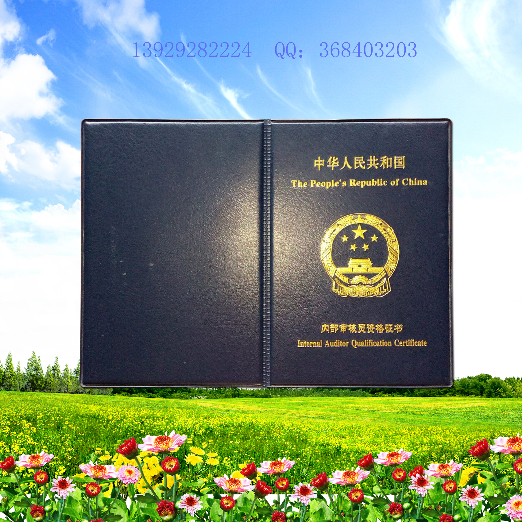 订制广东省电子政务专业水平证书图片