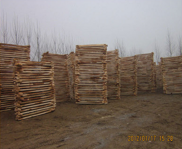榆木烘干板材厂家 榆木烘干板材厂家销售 榆木烘干板材图片 榆木烘干板材供应 河南榆木烘干板材厂家