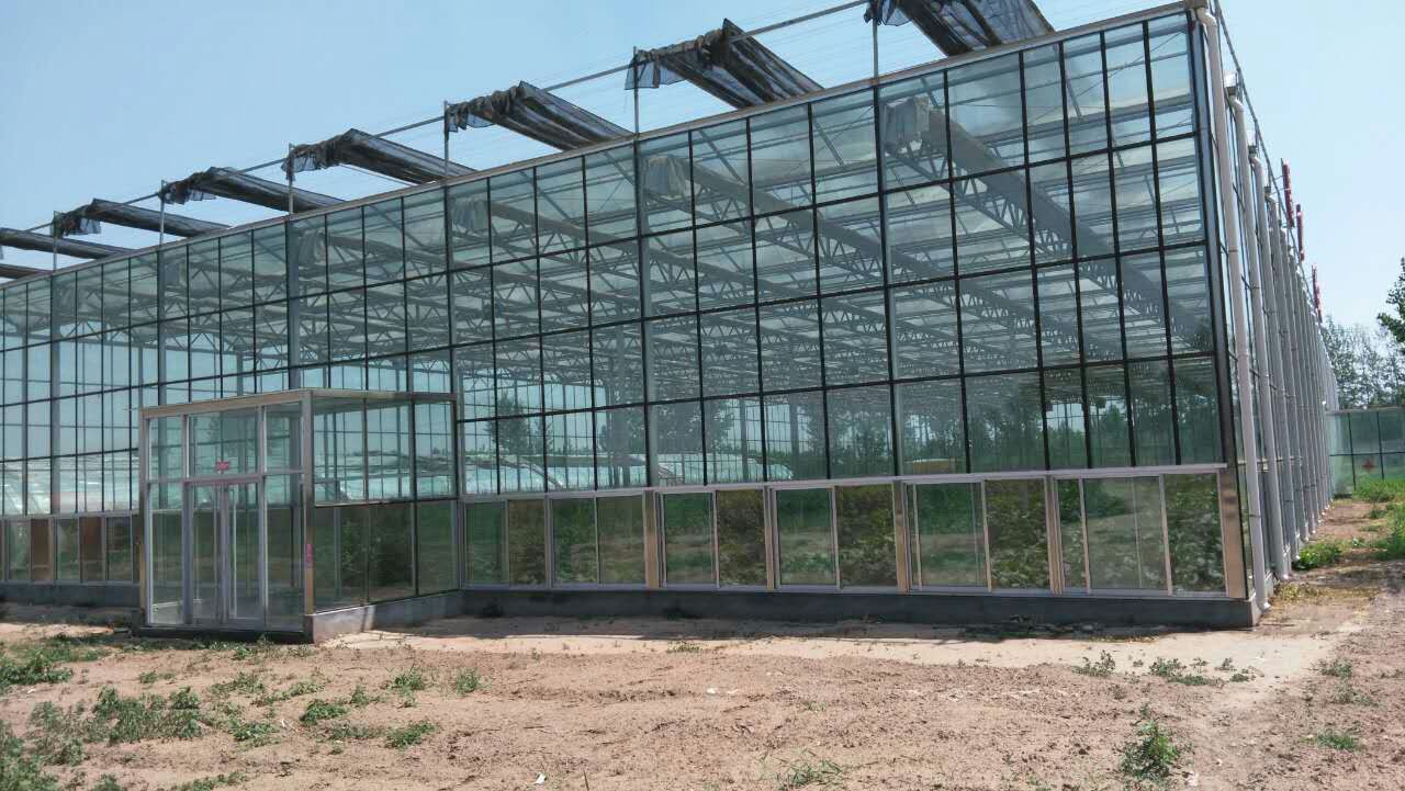 玻璃温室 智能玻璃温室