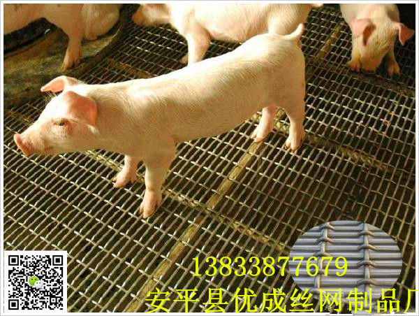 养猪钢丝网云南养猪钢丝网养猪钢丝网厂家
