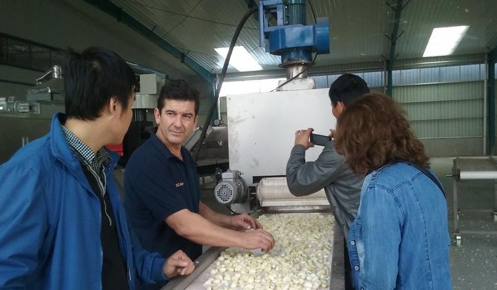 济宁市蒜米机成套设备新型大蒜脱皮厂家