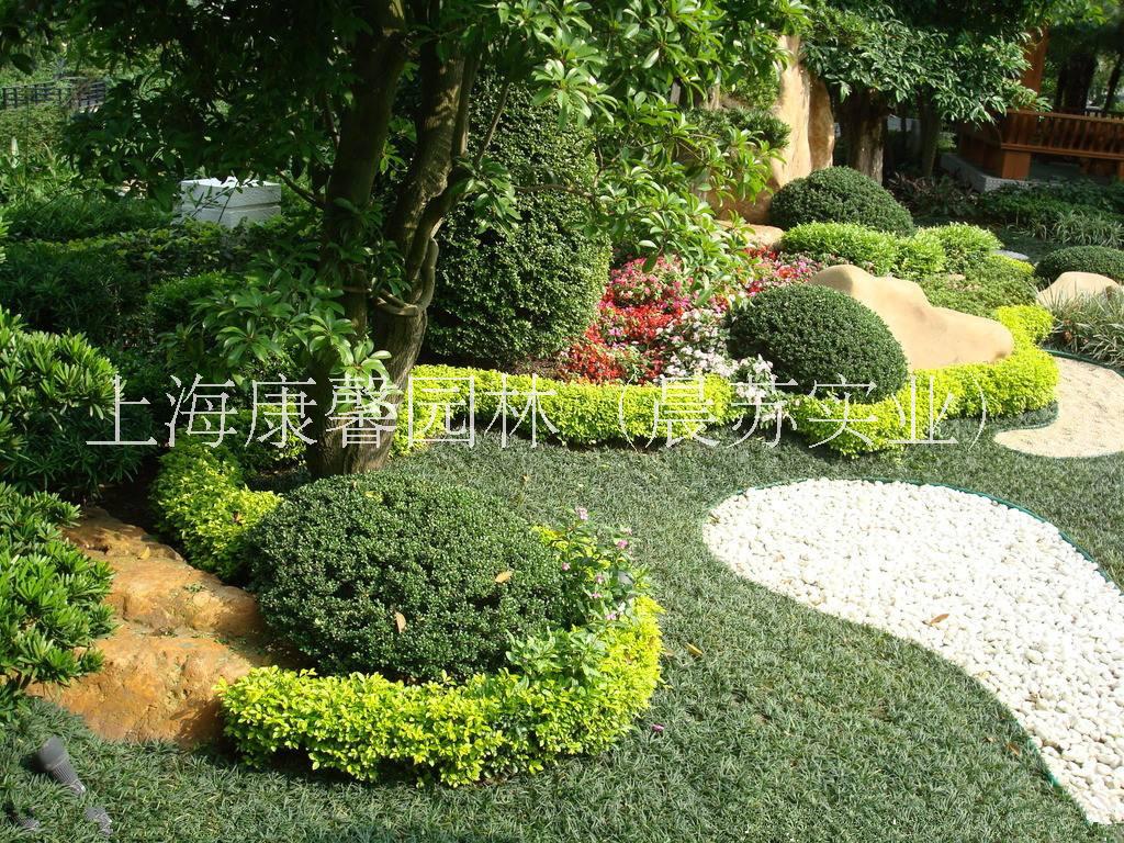重庆城市绿化工程施工电话 重庆专业承接绿化养护工程公司图片