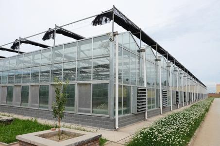 玻璃温室 玻璃温室生产厂家