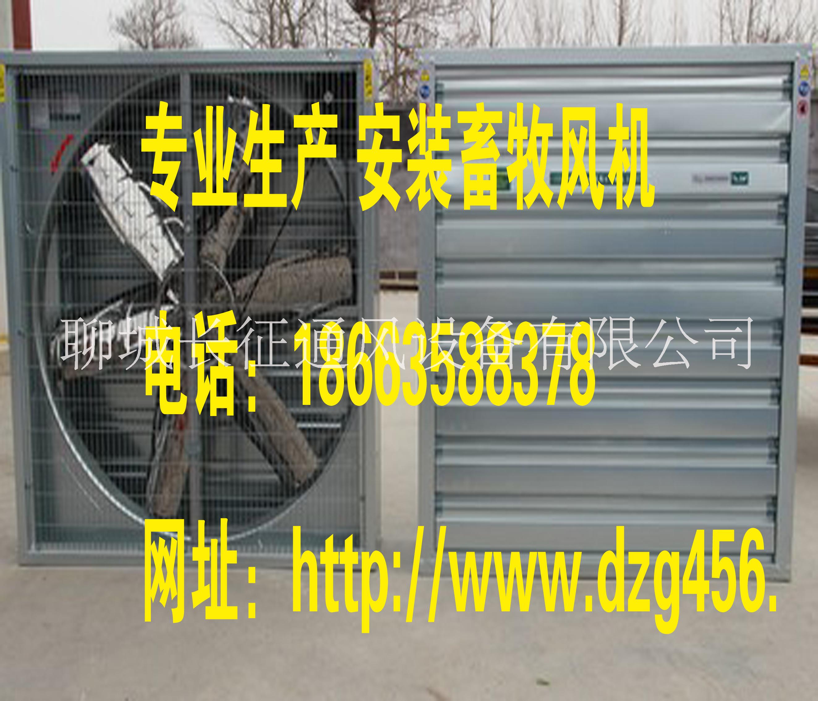 供应杭州湖州400500、600 杭州无动力通风器