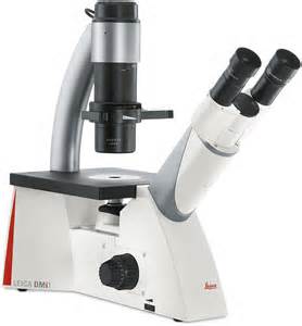 徕卡DMi1 徕卡DMi1倒置显微镜，生物显微镜批发