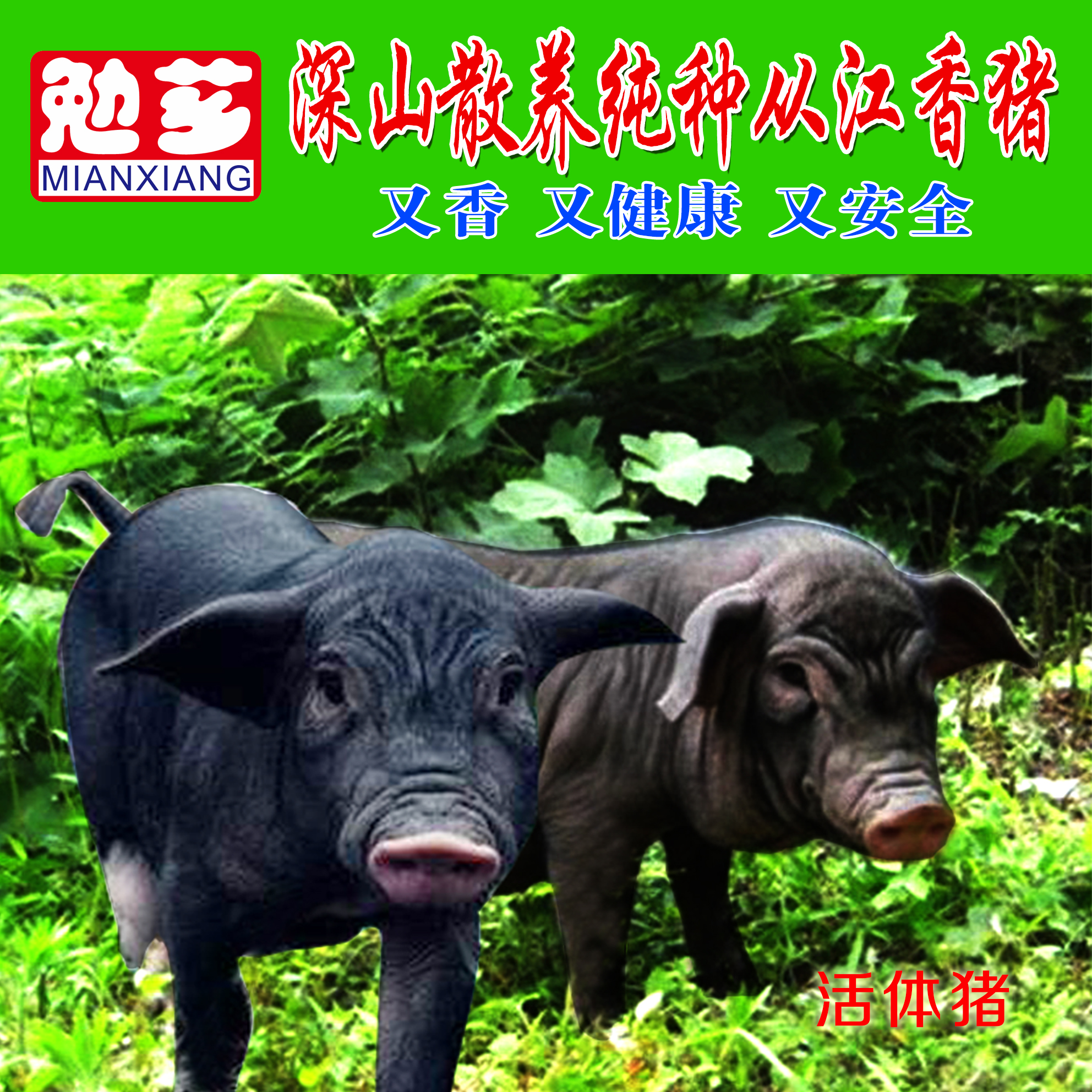 贵州从江县香土产业养殖开发有限责任公司