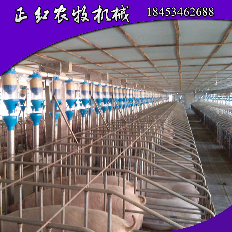 供应用于饲喂设备的厂家直销养猪料线 自动供料系统,品质经久耐用