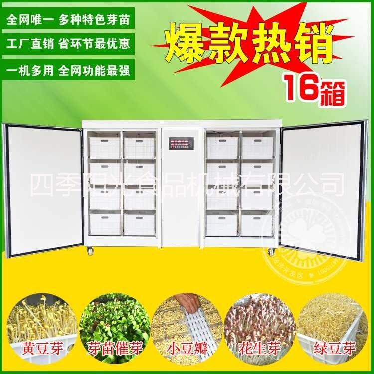 鑫圣阳光高产量豆芽机日产60斤—1600斤厂家指导技术