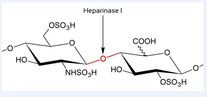 供应肝素酶I（heparinase I）