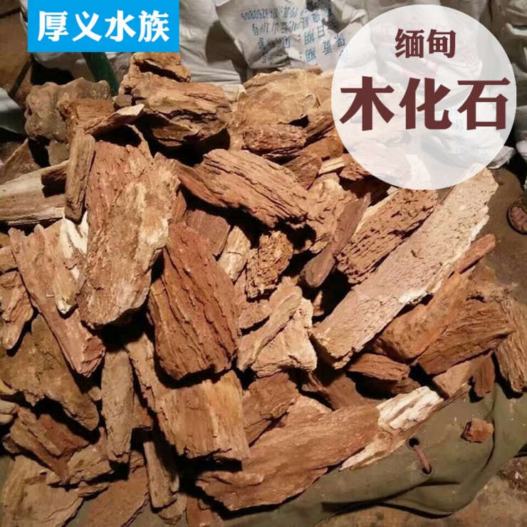 山东滨州木化石联系方式 缅甸木化石水族箱鱼缸造景批发价格