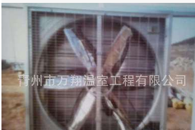 大棚降温设备 风机水帘 价格 生产厂家