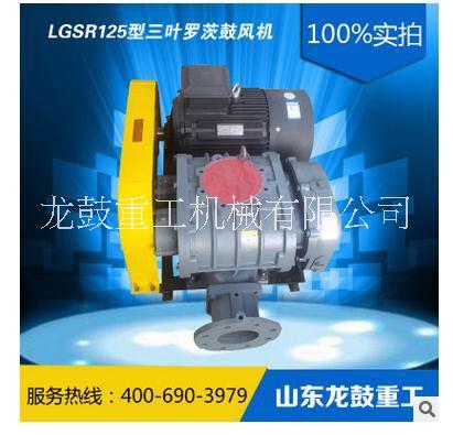 济南市新款LGSR125型煤粉防爆鼓风厂家