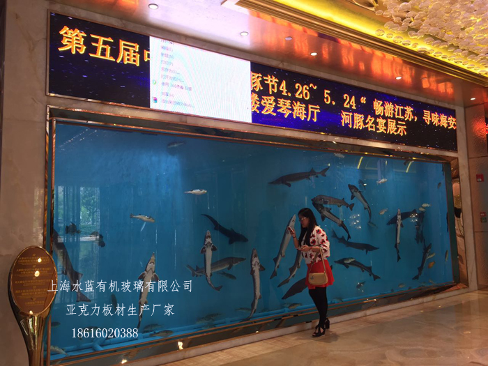 上海市山东鱼缸工厂承接大型鱼缸工程厂家
