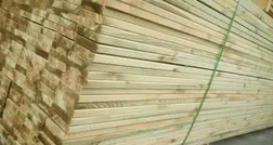 樟子松板材 厂家直销环保松木直拼板材 优质生态板 批发欢迎选购