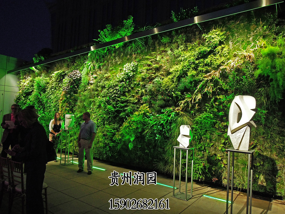 贵阳植物墙培训包括生态绿化和墙面垂直立体种植技术培训图片